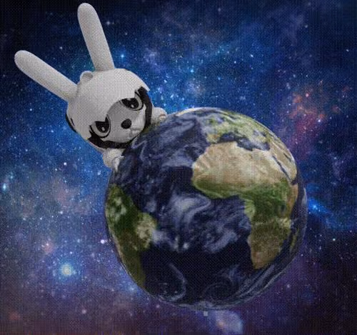 shuttle rabbit