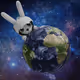 shuttle rabbit