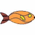 blockhead fish