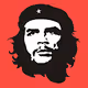 Che Guevara The Freedom Fighter