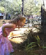 LillyBug's