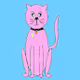 Pink Kitty Collection