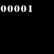 Binary.Codes