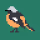 CryptoBirds_NFT