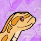 Pixelated Hognose Snakes