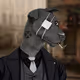 Luxury Dogs Collection