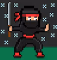 NINJA CLAN