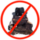 The Untold Croaks