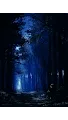 Magical Forest #20040108