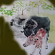 Man and Buffalo