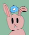 Pchillu bunny followers