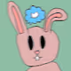 Pchillu bunny followers