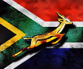 Springboks Rugby Team
