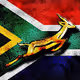 Springboks Rugby Team