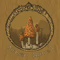 The Morels Fungarium