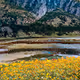 Zhumurtka