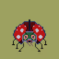 ladybug...