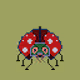 ladybug...