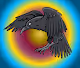Coin Crows In Alps
