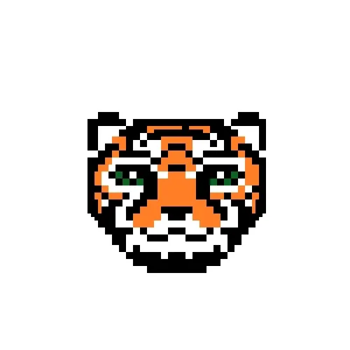 C.N  TIGERS