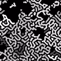 TURING POLKADOT