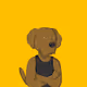 Dog Like a Man Official