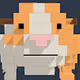 Guinea Pig 3D