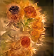 Fantasy Flower Solar System