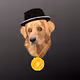 BITdog collection