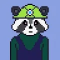 Dizzy Raccoon