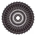 Cryptomaru