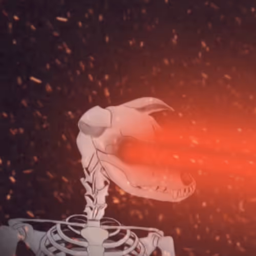 HakunaDog + JimmyCrypto888 Collaboration