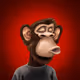 105 monkeys in Redwood National Park