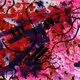 Feelings Into Art