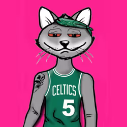 Cats Sports