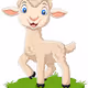 KittySuperLambs
