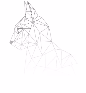 Fellowship of the Polycatz