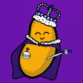 one singular baked bean