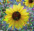 TRIPPY FLOWER ART