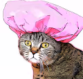 My beautiful CAT