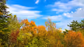natureinside