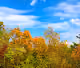 natureinside