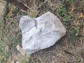 Real Photos of Real Things