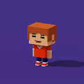 Voxel's Figure