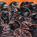 Goldfish & Crows
