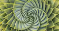 Mathematic Art