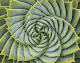 Mathematic Art