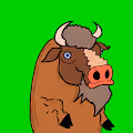 TrippyBuffalo Family