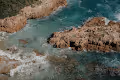 The Ocean #1