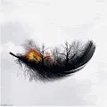 Nature Collision